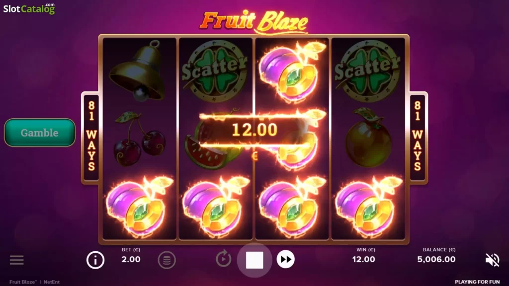 Fruit-Blaze-slot-casinochecken